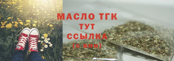 сатива Беломорск