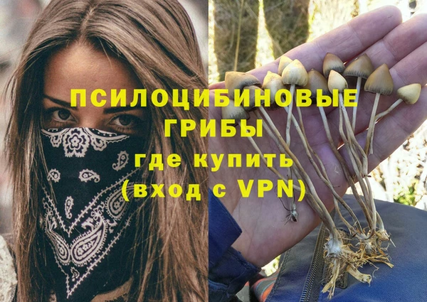 дурь Михайлов