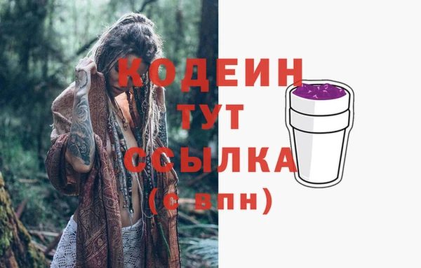 дурь Михайловск