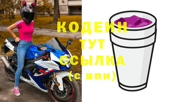 сатива Беломорск