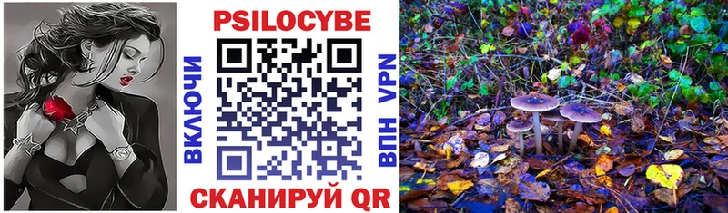Псилоцибиновые грибы Psilocybine cubensis Болотное